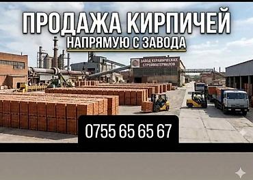 Строительный кирпич: Пустотелый, дырчатый, Жженый кирпич, Полублок, 250×120×90 — 9