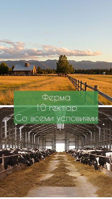 Продажа участков: 1000 соток, Для бизнеса, Красная книга — 1