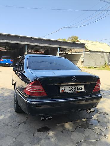 решетка w220: Mercedes-Benz S-Class: 2002 г., 3.2 л, Автомат, Бензин, Седан — 5