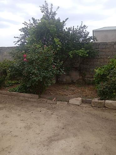 Həyət evləri və villaların satışı: 4 otaqlı, 146 kv. m — 18