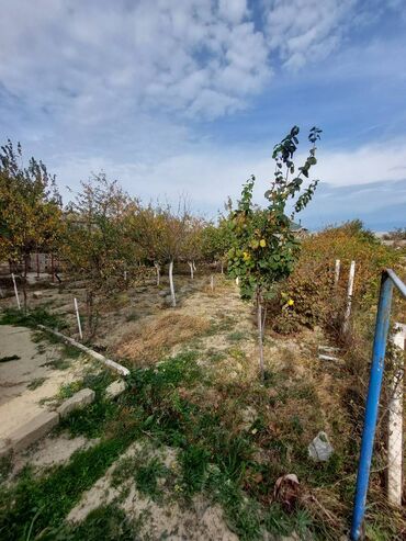 Həyət evləri və villaların satışı: Saray 5 otaqlı, 240 kv. m, Kredit yoxdur, Yeni təmirli — 23