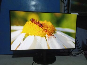 Мониторы: Монитор, AOC, Новый, 27" - 28" — 22