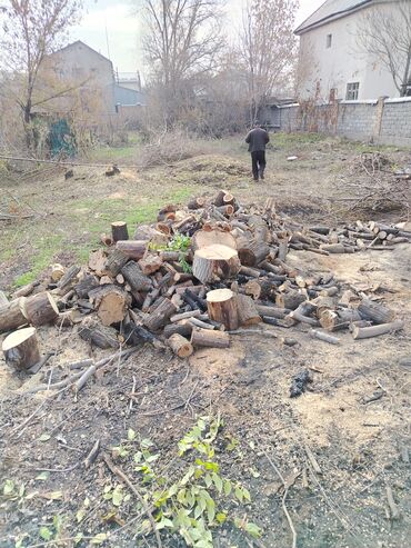 Дрова: Дрова — 7