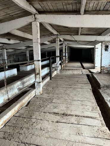 Сельхоз предприятия: 40 соток, Действующий, С оборудованием — 2