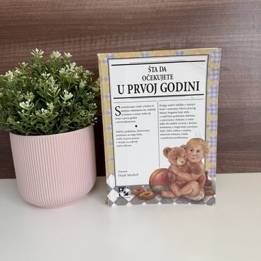 Knjiga Sta da ocekujete u prvoj godini Odlicna knjiga za mlade mame