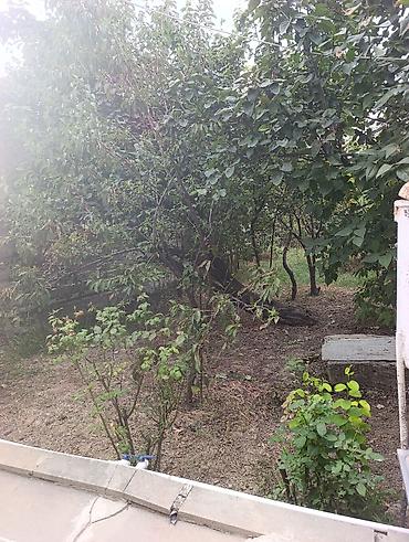 sumqayitda ev: Şamaxı Rayonuda şeherin merkezinde 6 sot torpaqın içinde 2 mertebeli — 7