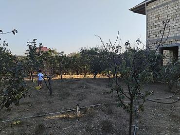 Həyət evləri və villaların satışı: 7 otaqlı, 156 kv. m, Təmirsiz — 22