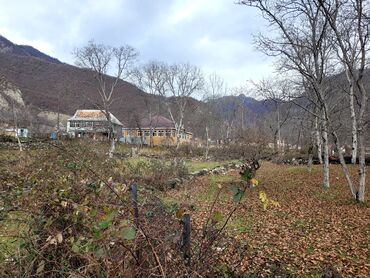 Torpaq sahələrinin satışı: 9 sot, Tikinti, Mülkiyyətçi, Kupça (Çıxarış) — 17