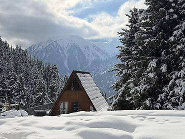 Долгосрочная аренда домов: (Можно рассмотреть варианты на долгосрочную аренду от 3 месяцев и — 12