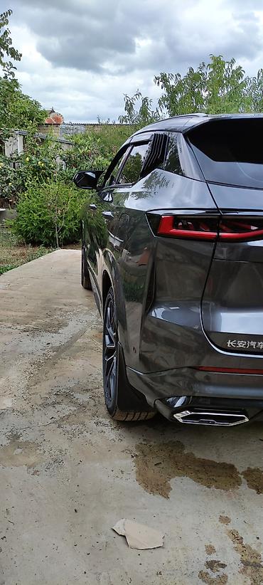 235 55 17: Changan Uni-T: 1.5 l | 2025 il 21000 km Krossover — 4