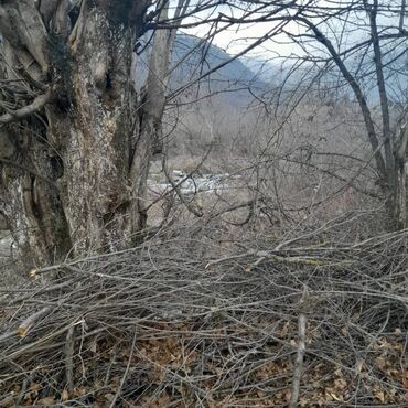 Torpaq sahələrinin satışı: 8 sot, Tikinti, Bələdiyyə — 6