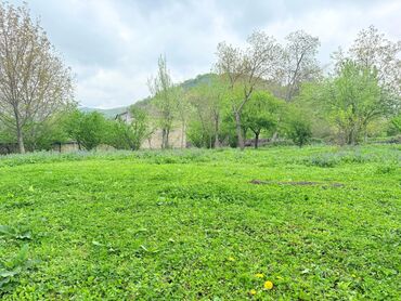 Torpaq sahələrinin satışı: 15 sot, Tikinti, Mülkiyyətçi, Kupça (Çıxarış) — 7