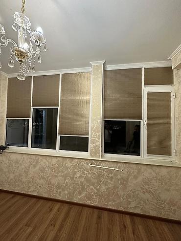 Жалюзи и рольшторы: Рулонные шторы «День-Ночь» (зебра) - Полотно: чередование прозрачных — 8