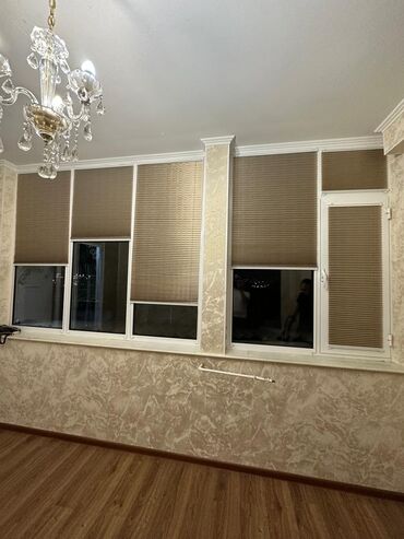 Жалюзи и рольшторы: Жалюзи день ноч 
плесси — 15