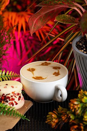 Фото- и видеосъёмка: Фуд - фотограф бишкек - профессиональная фотосъемка еды - снимаю еду at lalafo.kg — 16 Фото- и видеосъёмка: Фуд - фотограф бишкек - профессиональная фотосъемка еды - снимаю еду — 16