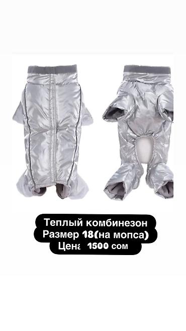 Зоотовары: Одежда для кошек и собак. Все НОВОЕ РАЗМЕР И ЦЕНА УКАЗАНЫ НА ФОТО — 6