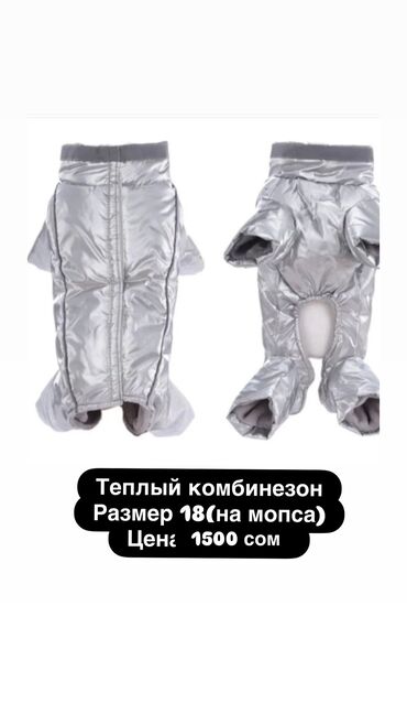 все породы собак с фотографиями: Одежда для собак и кошек, большой выбор Все НОВОЕ РАЗМЕР И ЦЕНА