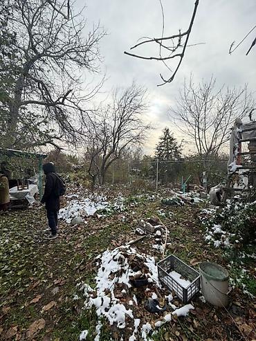 Продажа коттеджей и домов: Продаю дом сам кирпич удобства в доме требует ремонта на участке есть — 7