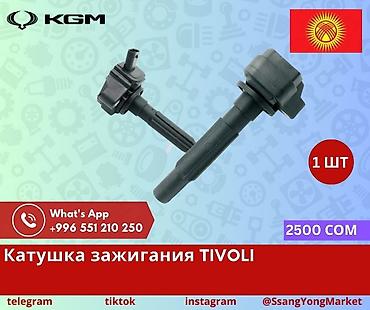 Детали двигателя и моторы в сборе: Катушка зажигания TIVOLI (KGM/SsangYong) - Предназначена для — 1