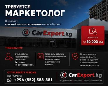 smartex kg фото: Маркетолог — 1