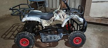 ucuz usaq oyuncaqlari: Elektrik uşaq kvadrosikl və qoşqu - Növ: elektrikli uşaq ATV (4 — 3