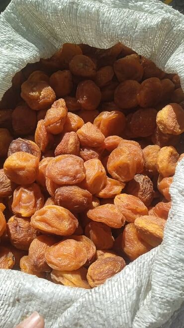 продать орехи в бишкеке: Натуральный таза Баткен оругу сатылат