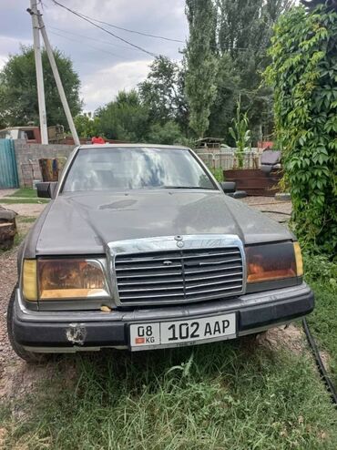 мерс 124 дизель купить: Mercedes-Benz W124: 1989 г., 3 л, Механика, Дизель, Седан