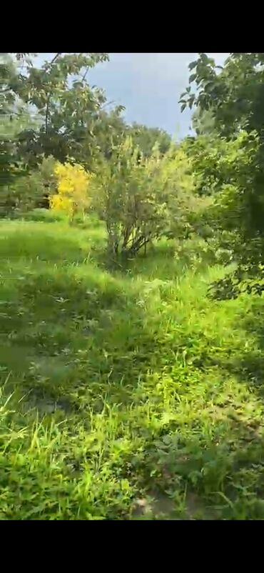 Bağ evlərinin satışı: Bakı, 24 kv. m, 7 otaqlı, Hovuzsuz, Telefon, Qaz, İşıq — 5