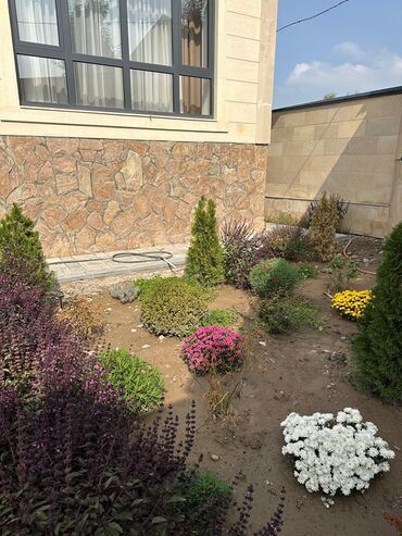 Продажа домов: Дом, 138 м², 4 комнаты, Собственник, Евроремонт — 3