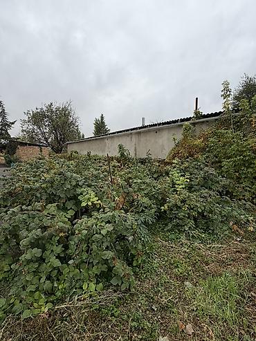 Үйлөрдү сатуу: 📍 В Шопокове продается дом на участке 18 соток, 60 кв.м. 🏡Дом с — 5