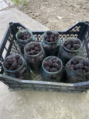 цветы домашные: Продам свежую ежемалину. Выращена в огороде без использования