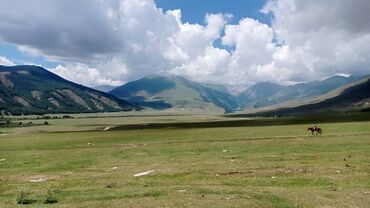 Продажа участков: 30 соток, Для бизнеса, Тех паспорт — 4