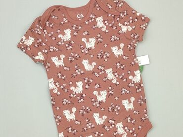 Bodysuits: Bodysuits, C&A, 2-3 years, 92-98 cm, condition - Perfect