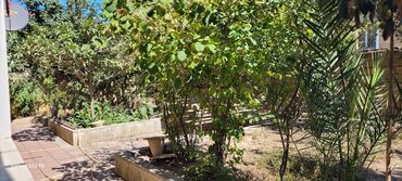 Həyət evləri və villaların satışı: 5 otaqlı, 5 kv. m, Kredit yoxdur, Orta təmir — 4