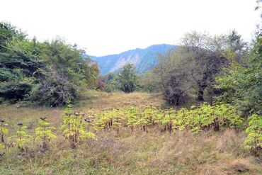 Torpaq sahələrinin satışı: 80 sot, Biznes üçün, Barter mümkündür, Kupça (Çıxarış) — 19