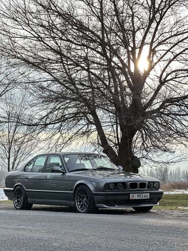 BMW: BMW 5 series: 1994 г., Бензин, Седан — 10