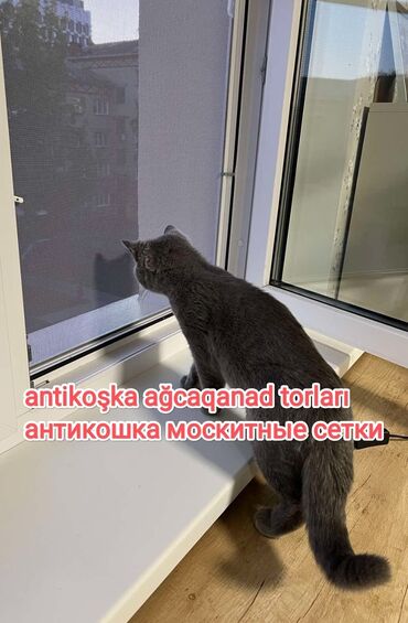 Jalüzlər: Изготовим москитные сетки любого вида, простые оконные сетки, сетки — 8