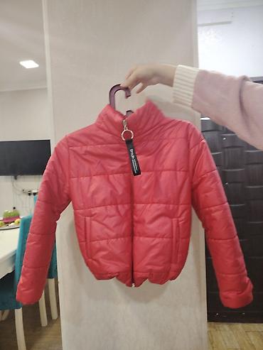 Stradivarius, S