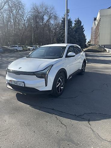 JMEV: JMEV : 2022 г., 3 л, Автомат, Электромобиль, Кроссовер — 3