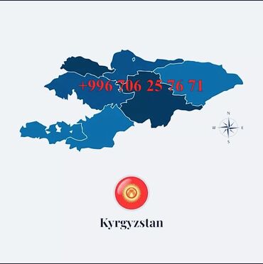 услуги водолаза: Онлайн оформление визы для въезда на территорию Кыргызской Республики