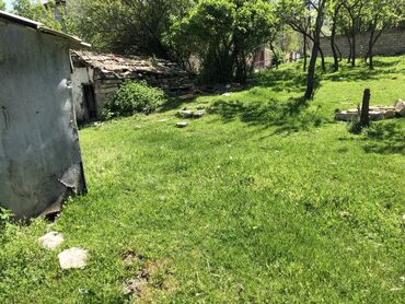 Torpaq sahələrinin satışı: 30 sot, Kənd təsərrüfatı, Mülkiyyətçi, Kupça (Çıxarış) -da lalafo.az — 20 Torpaq sahələrinin satışı: 30 sot, Kənd təsərrüfatı, Mülkiyyətçi, Kupça (Çıxarış) — 20