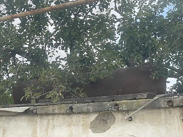 baki tekstil fabriki elaqe: Bak, Metal, 1500 l l, Yeni, Ünvandan götürmə — 3