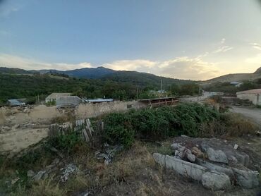 Torpaq sahələrinin satışı: 11 sot, Kənd təsərrüfatı, Kupça (Çıxarış) -da lalafo.az — 3 Torpaq sahələrinin satışı: 11 sot, Kənd təsərrüfatı, Kupça (Çıxarış) — 3