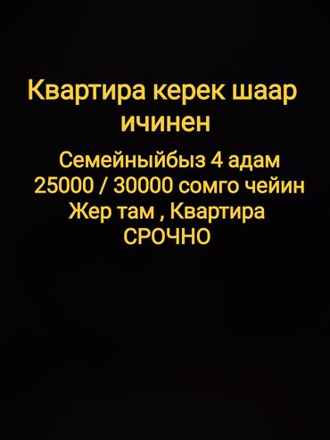 Сниму квартиру: 1 комната, 40 м², С мебелью