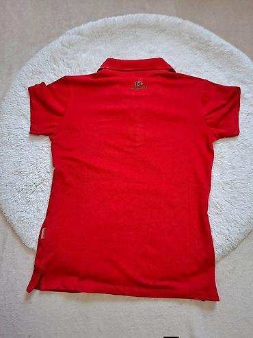 pull anbear: LACOSTE zenska majica 
Velicina S do slabijeg L 
Cena 2.800 dinara🟨🟨 — 4