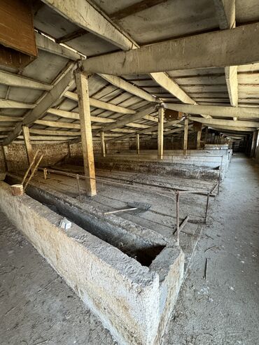 Сельхоз предприятия: Продаю Кошара, 130 соток, Действующий, Частично с оборудованием, Электричество, Канализация, Отопление — 11