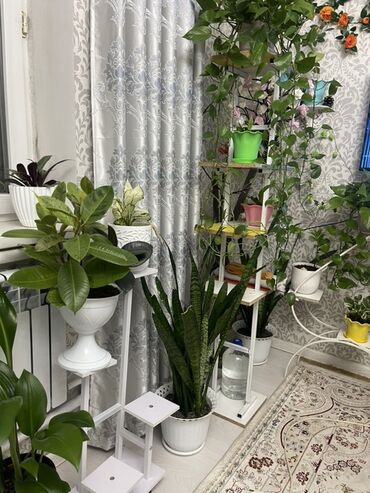 полки под цветы напольные: Гүлдөр үчүн секичелүү текче, Темир