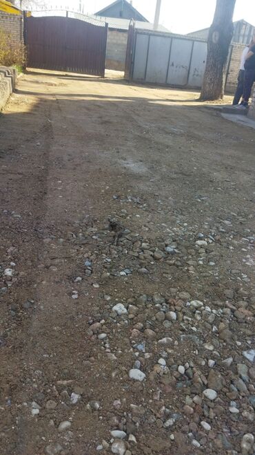 Кладка: Укладка асфальта Бесплатная консультация Больше 6 лет опыта — 6