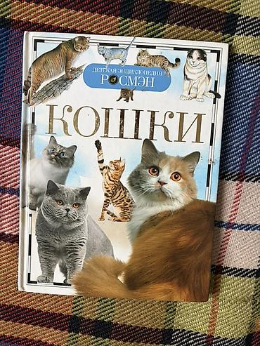 История: Мировая история, 9 класс, Новый — 6