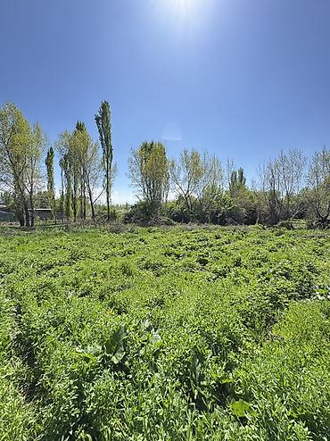 Продажа коттеджей и домов: ✨Продаётся дом в с. Сокулук✨ 🏡Характеристики: • Участок - 15 соток • — 5